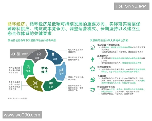 杭州篮球队转型之路揭秘:从传统强队到现代竞技新标杆的挑战与机遇 杭州篮球队转型之路揭秘:从传统强队到现代竞技新标杆的挑战与机遇