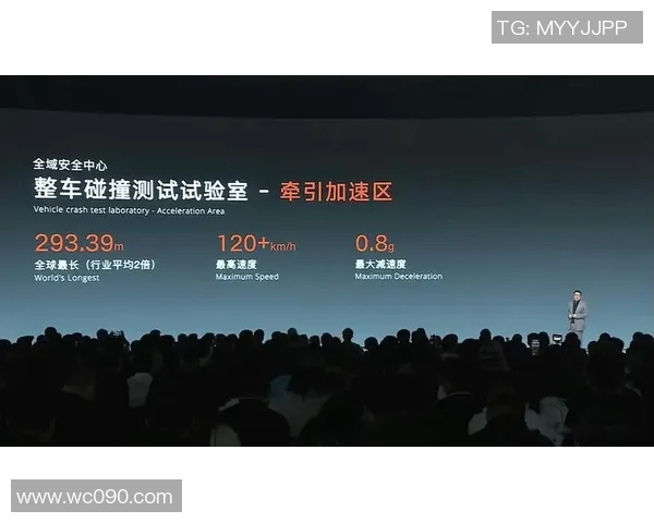 赖斯的外交策略与全球政治格局的深刻影响分析