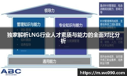 独家解析LNG行业人才素质与能力的全面对比分析