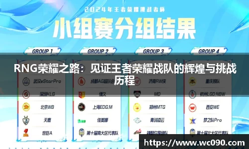 RNG荣耀之路：见证王者荣耀战队的辉煌与挑战历程