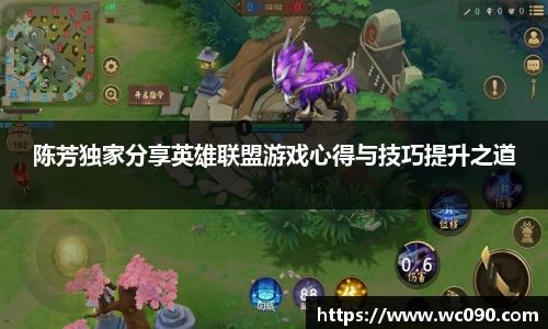 陈芳独家分享英雄联盟游戏心得与技巧提升之道
