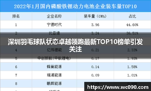 深圳羽毛球队状态卓越领跑最新TOP10榜单引发关注
